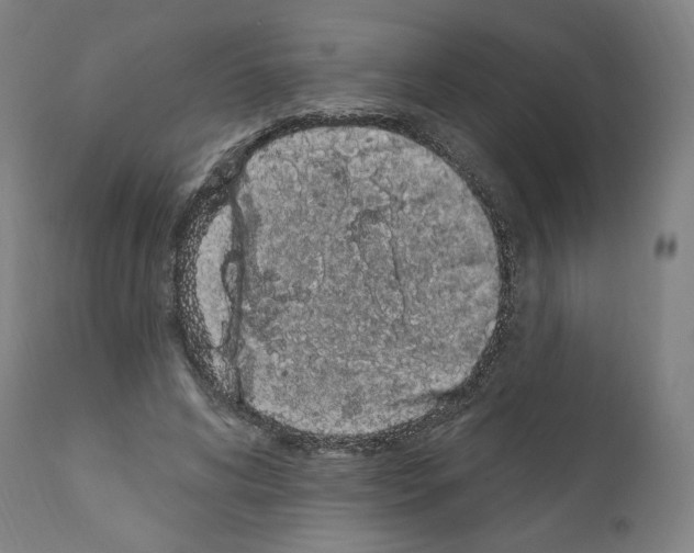 X0000110960592200907311108