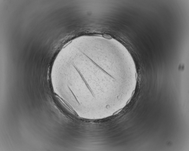 X0000110960593200907311108