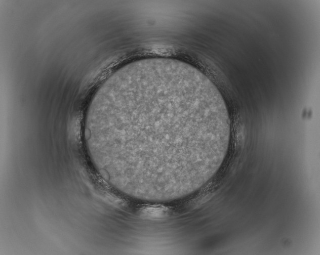 X0000110960595200907311108