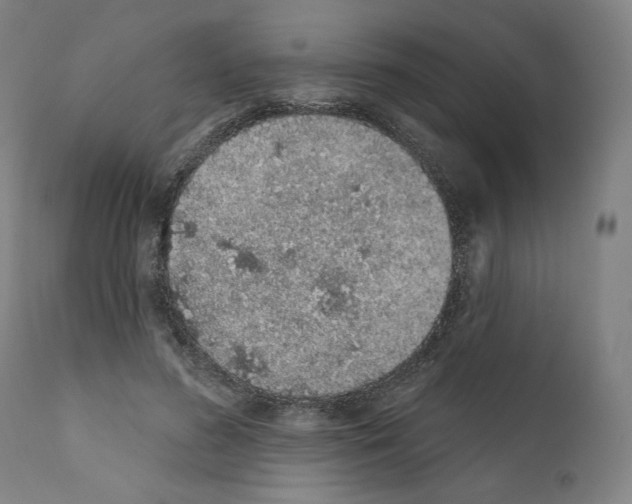 X0000110960596200907311108