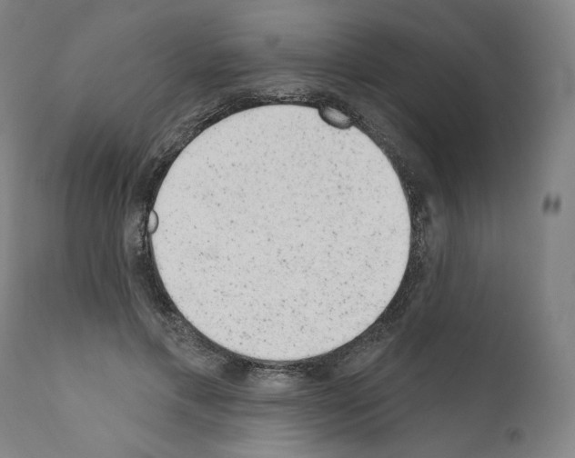 X0000110960597200907311108