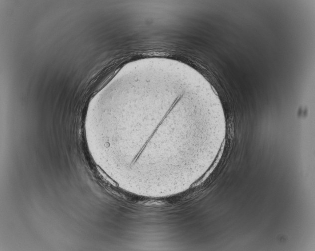 X0000110960599200907311108