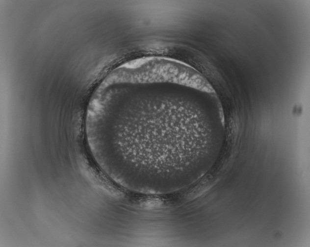 X0000110960600200907311108