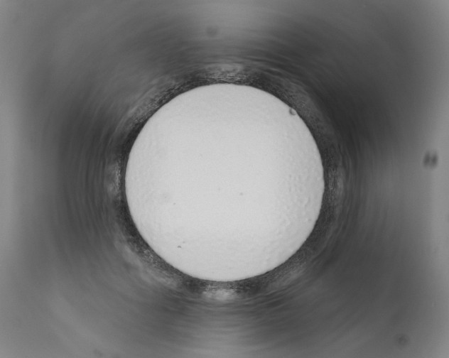 X0000110960602200907311108