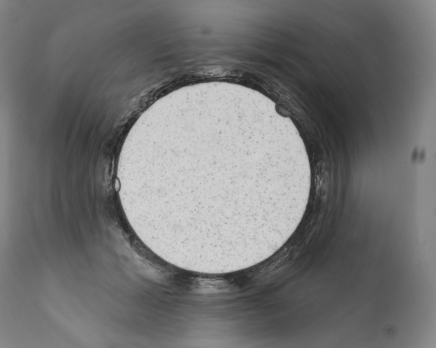 X0000110960605200907311108