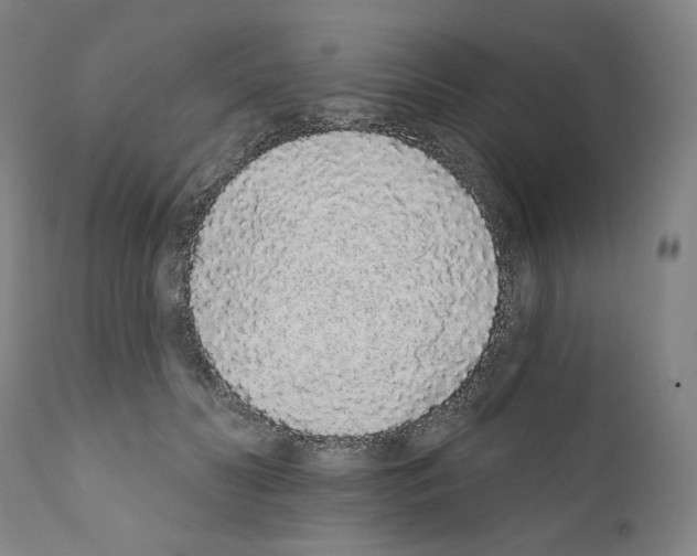 X0000110960606200907311108