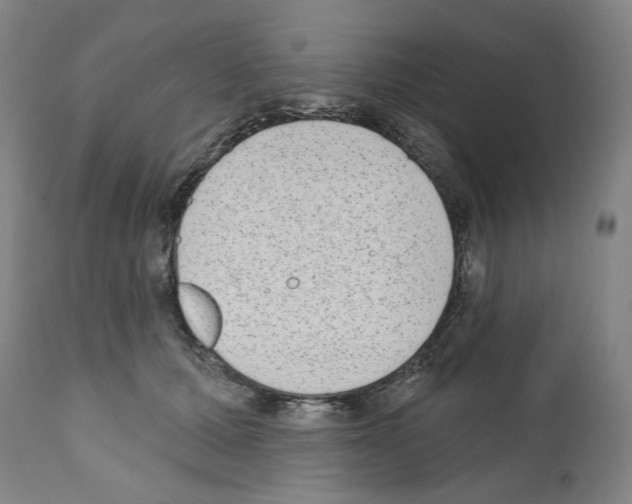 X0000110960607200907311108