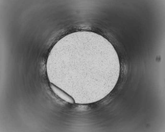 X0000110960609200907311108
