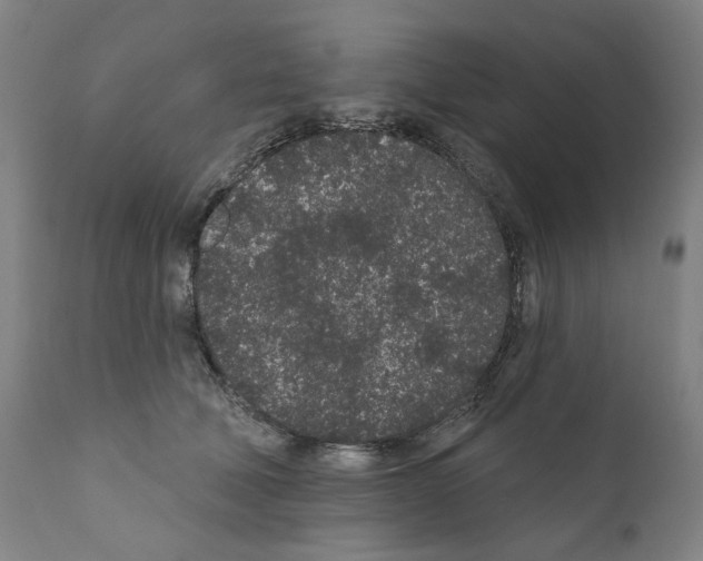 X0000110960610200907311108