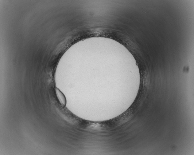 X0000110960611200907311108