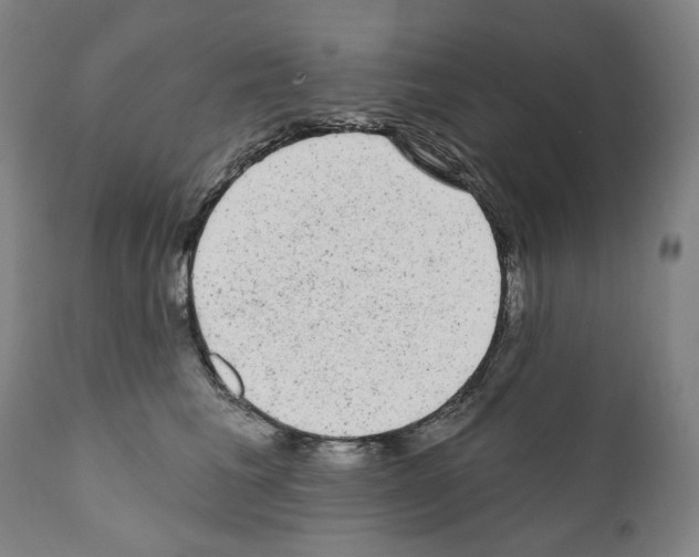 X0000110960613200907311108