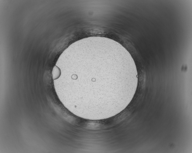 X0000110960614200907311108