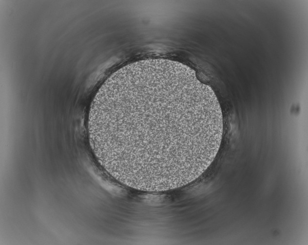 X0000110960615200907311108