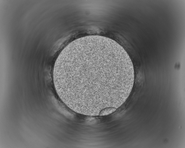 X0000110960616200907311108