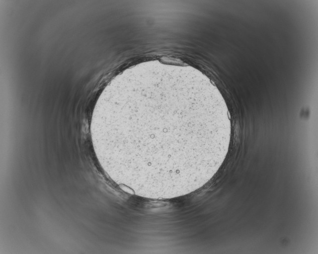 X0000110960617200907311108