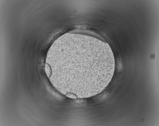 X0000110960619200907311108