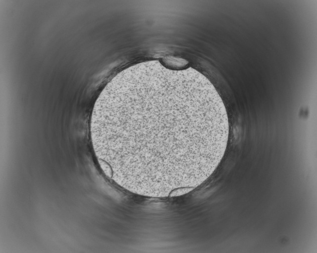 X0000110960620200907311108