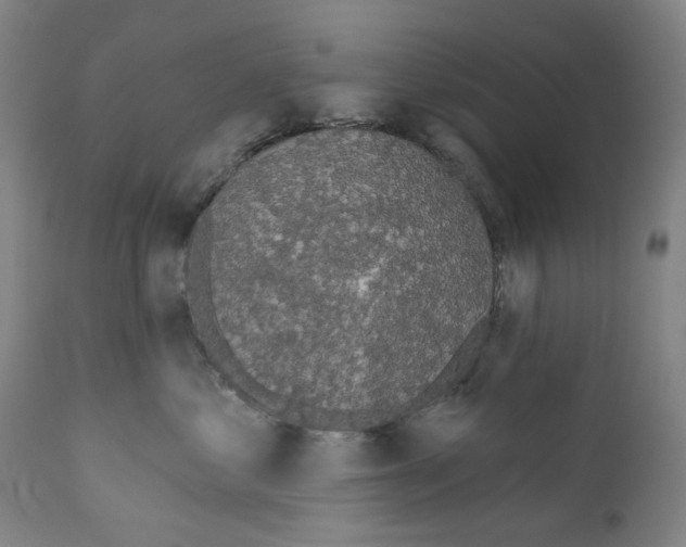 X0000110960621200907311108