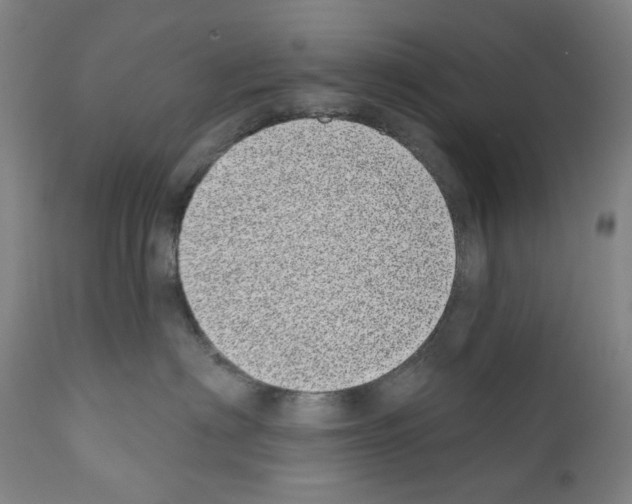 X0000110960622200907311107