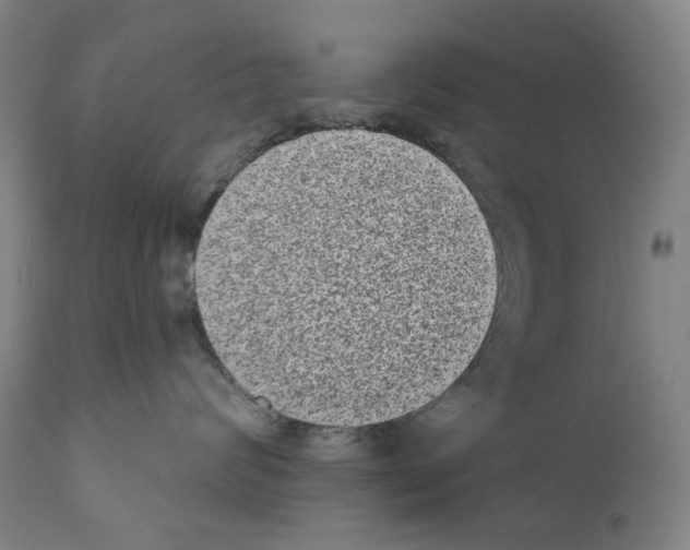 X0000110960624200907311107