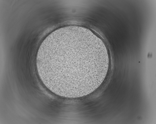 X0000110960625200907311107