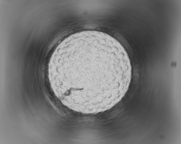 X0000110960626200907311107