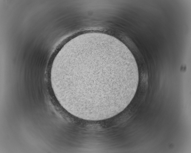 X0000110960628200907311107