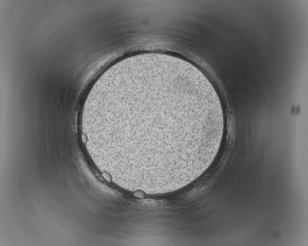 X0000110960629200907311107