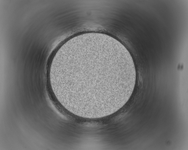X0000110960630200907311107