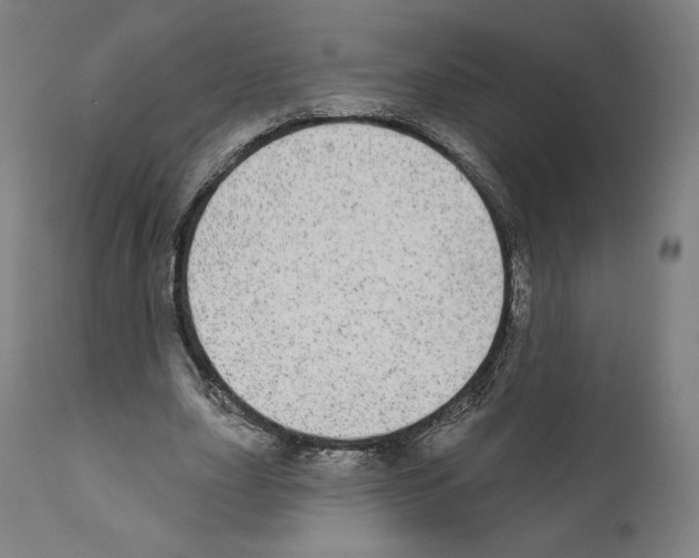 X0000110960631200907311107