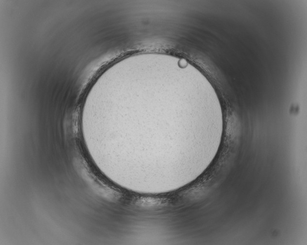 X0000110960632200907311107