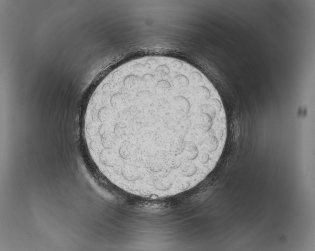 X0000110960638200907311107