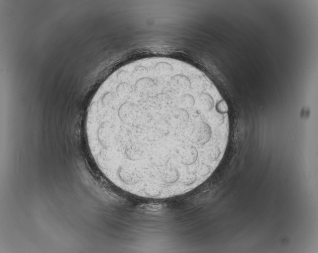 X0000110960639200907311107