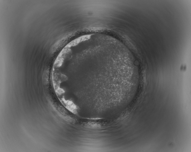 X0000110960640200907311107
