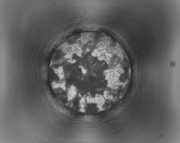 X0000110960641200907311107