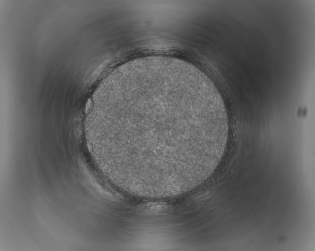 X0000110960642200907311107