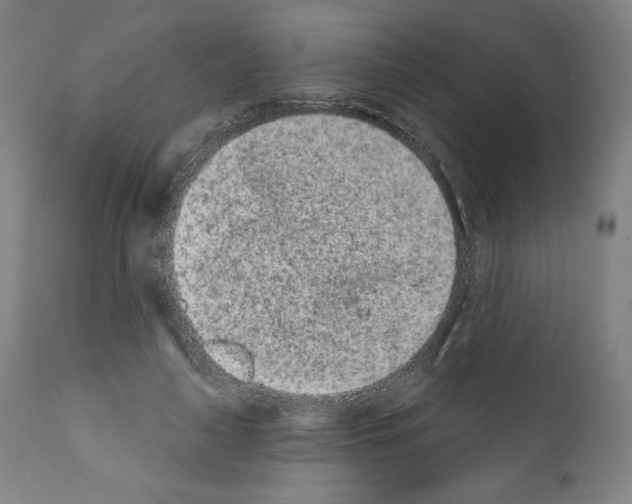 X0000110960643200907311107