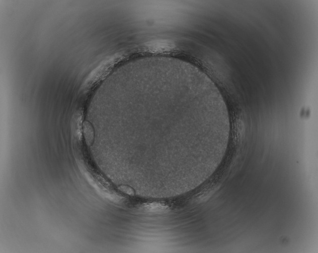 X0000110960644200907311107