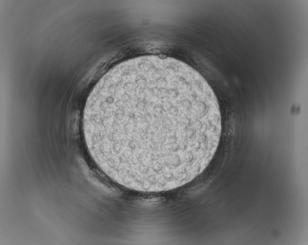 X0000110960646200907311107