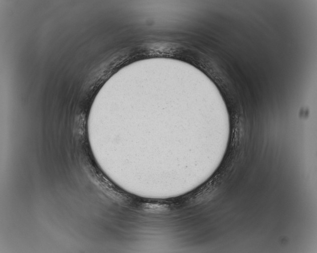 X0000110960649200907311107