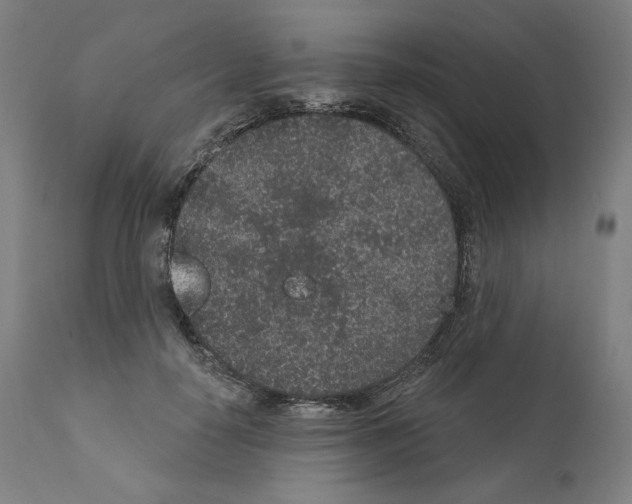 X0000110960650200907311107