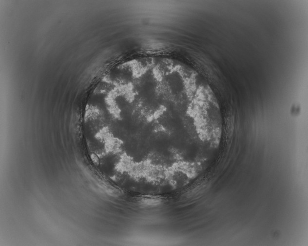 X0000110960653200907311107
