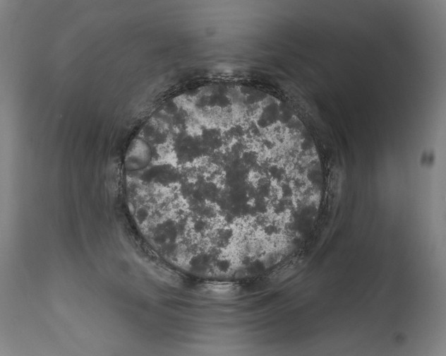 X0000110960659200907311107