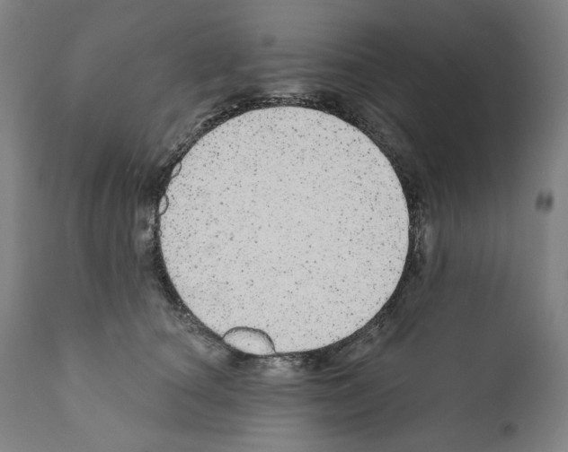 X0000110960660200907311107