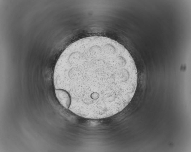 X0000110960662200907311107