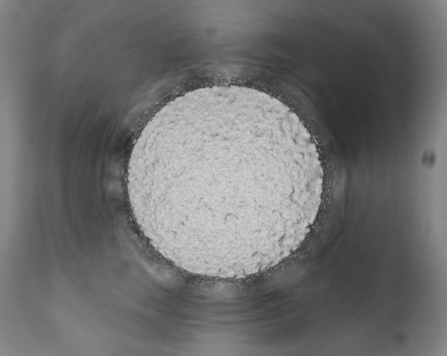 X0000110960663200907311107