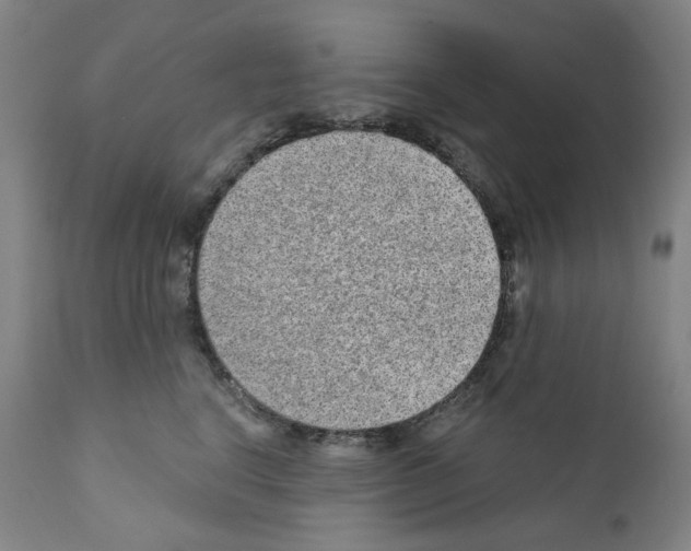 X0000110960664200907311107