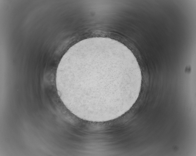 X0000110960668200907311107