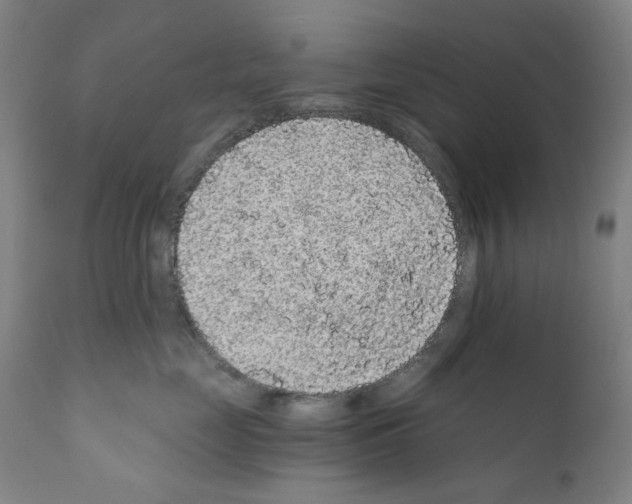 X0000110960669200907311107