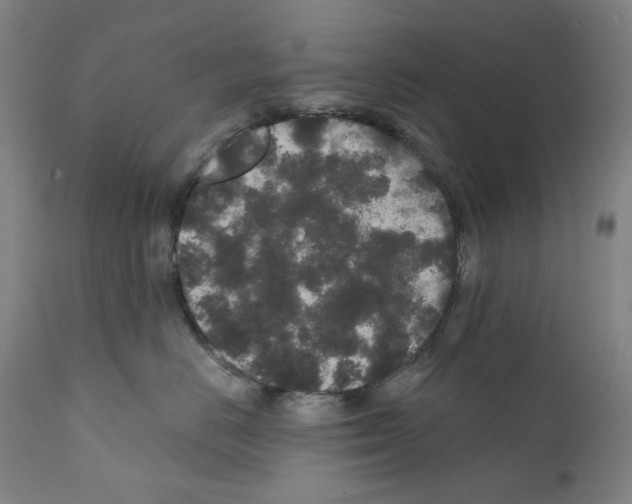 X0000110960670200907311107